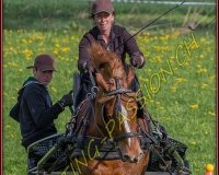 1POSIEUX 0229